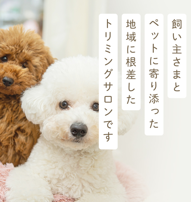 DogAmigo 亀戸店